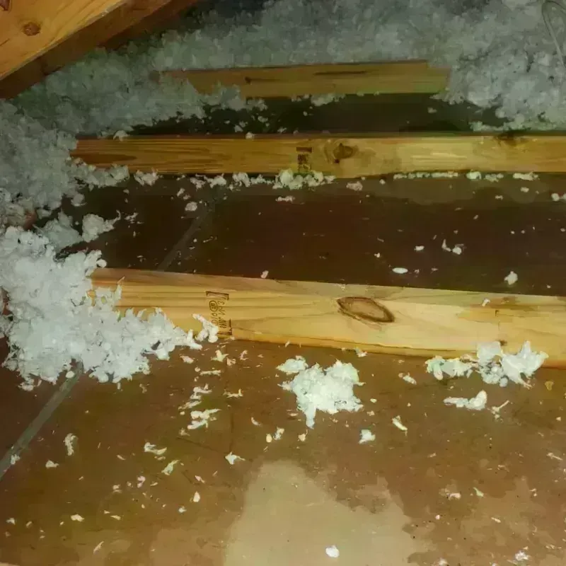 Attic Water Damage in Lake Murray of Richland, SC