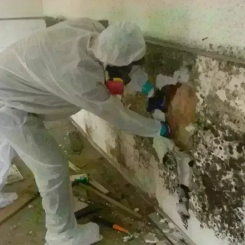 Mold Remediation and Removal in Lake Murray of Richland, SC