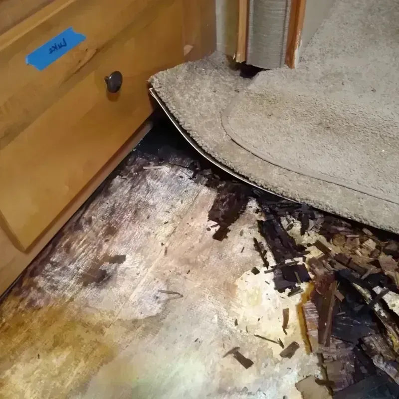 Wood Floor Water Damage in Lake Murray of Richland, SC